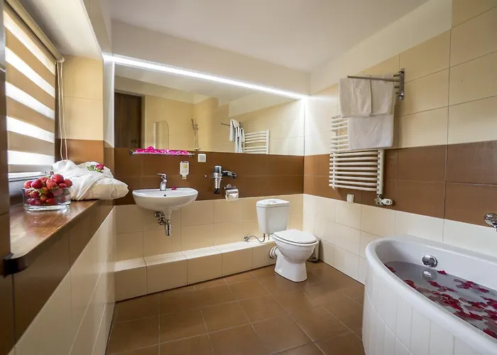 فندق مبيت وإفطار Sienkiewiczowka 3*